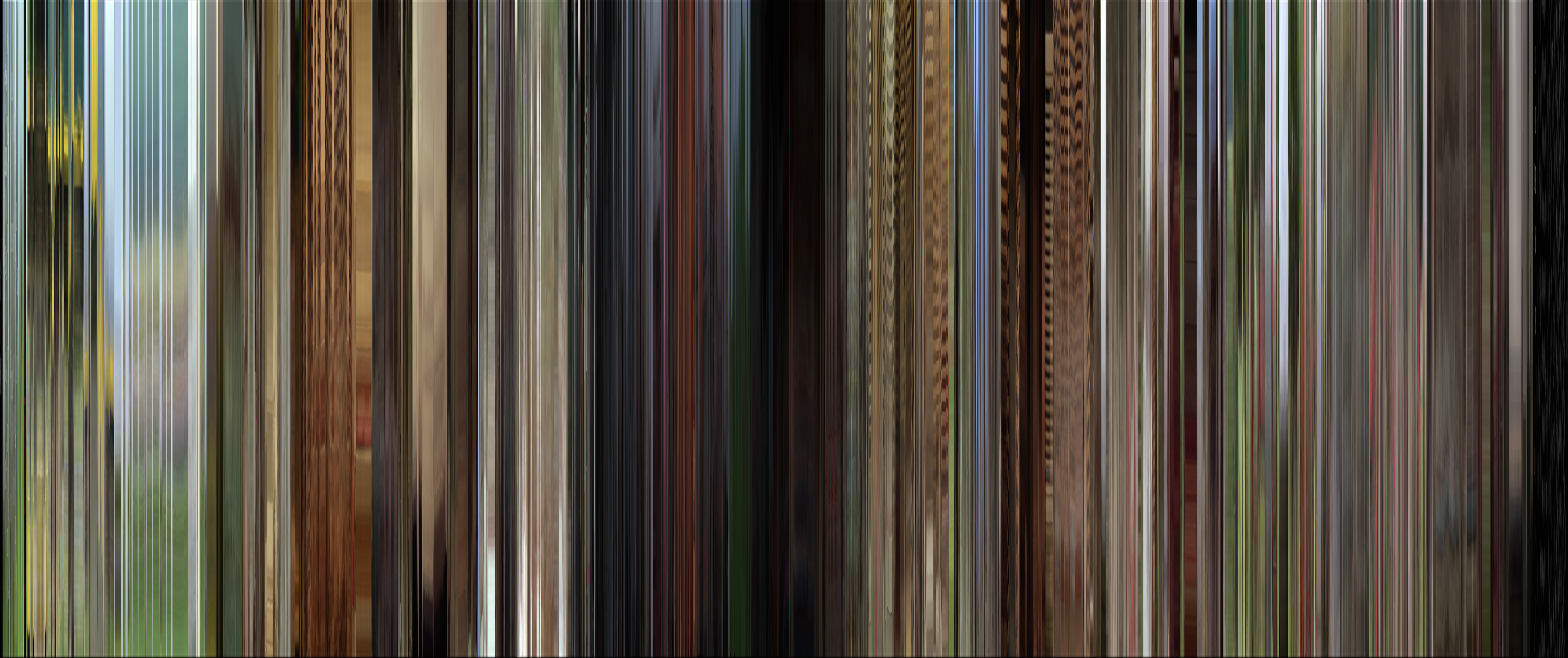 The complete color barcode for Ran (1985)